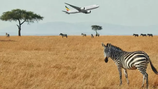Ethiopian Airlines предоставляет отель при транзите в Аддис-Абебе бесплатно
